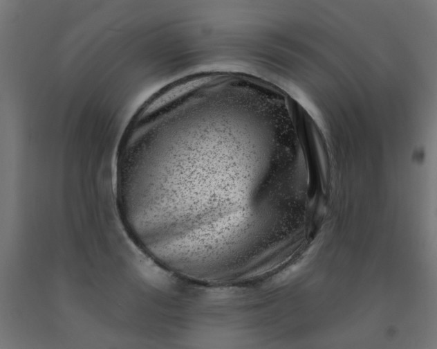 X0000092300988200709281322