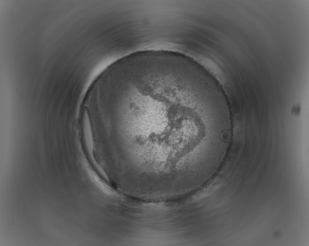 X0000092300990200709281322