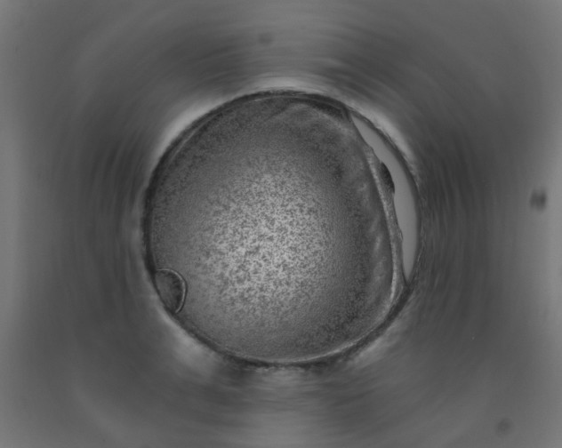 X0000092300991200709281322