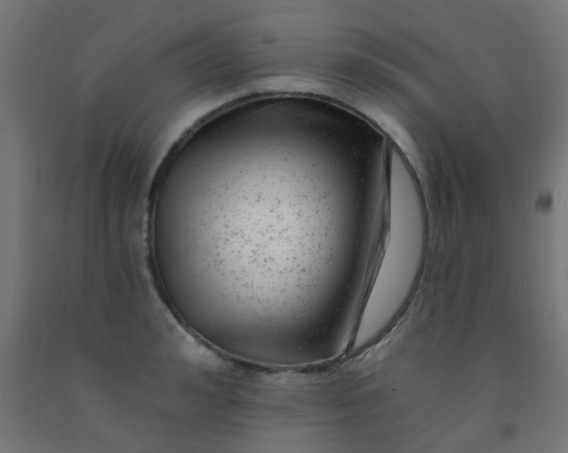 X0000092300992200709281322