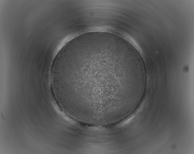 X0000092300994200709281322