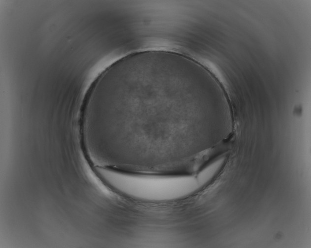 X0000092300995200709281322