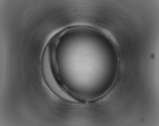 X0000092300996200709281322