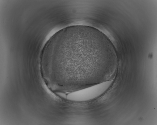 X0000092300998200709281322