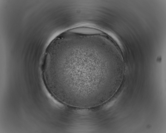 X0000092300999200709281322