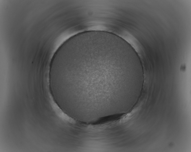 X0000092301000200709281322