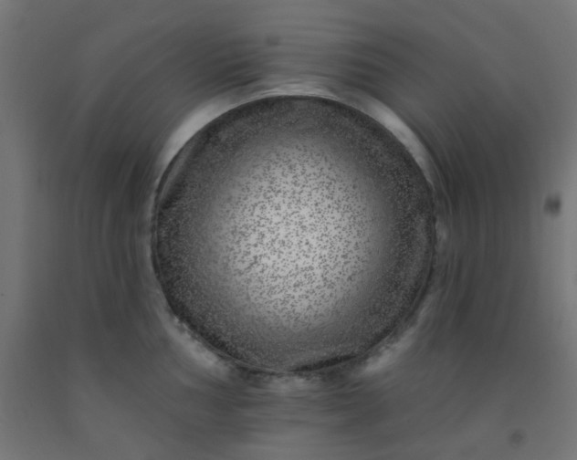 X0000092301002200709281322