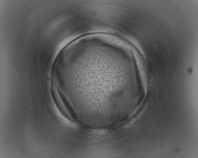 X0000092301003200709281322