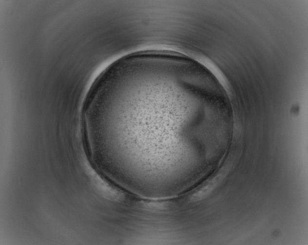 X0000092301004200709281322