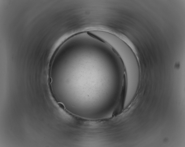 X0000092301005200709281322