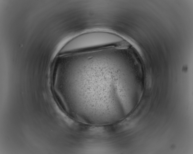 X0000092301006200709281322