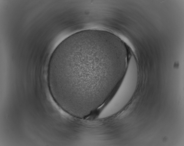 X0000092301007200709281322