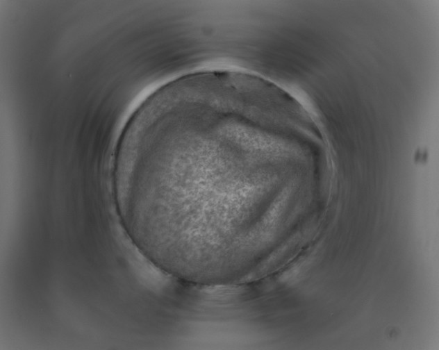 X0000092301008200709281322