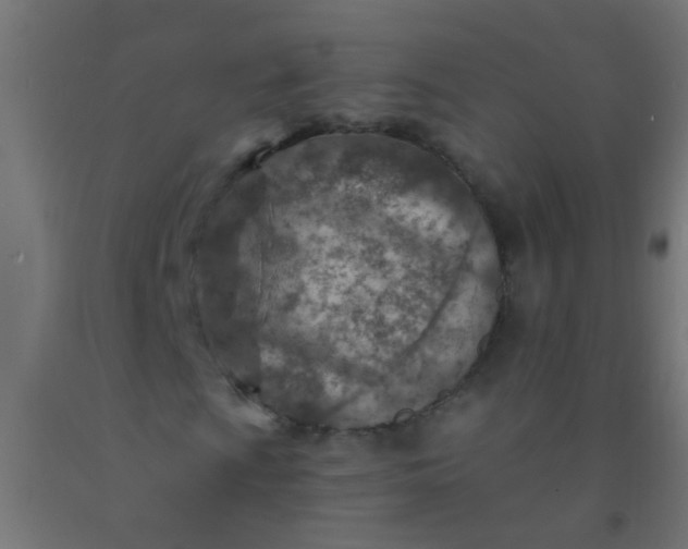 X0000092301009200709281322