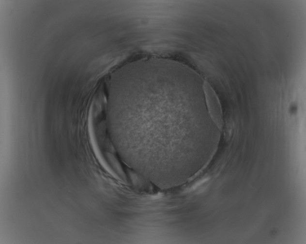 X0000092301010200709281322