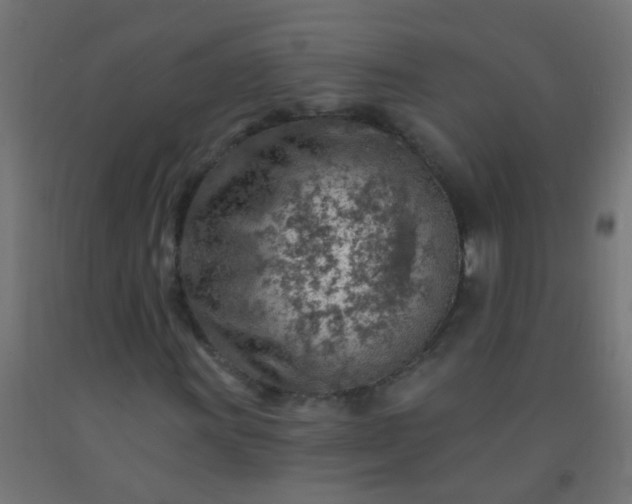 X0000092301011200709281322