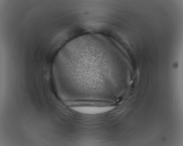 X0000092301012200709281322