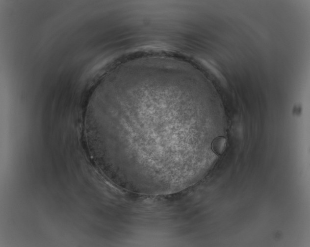 X0000092301015200709281322