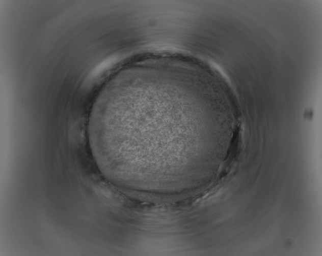 X0000092301016200709281322