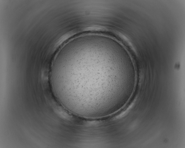 X0000092301017200709281322