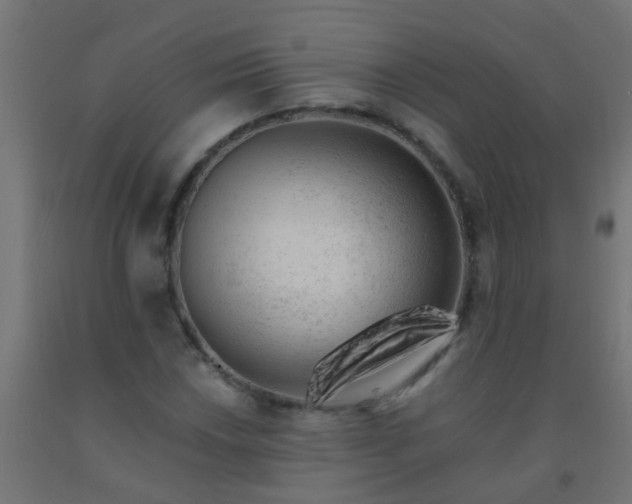 X0000092301018200709281322