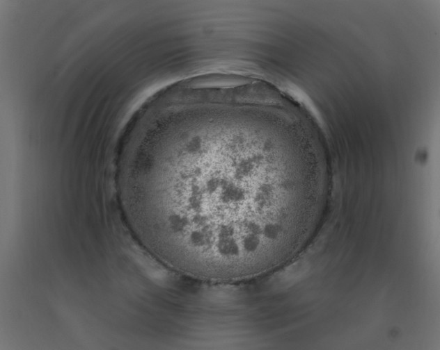 X0000092301019200709281322