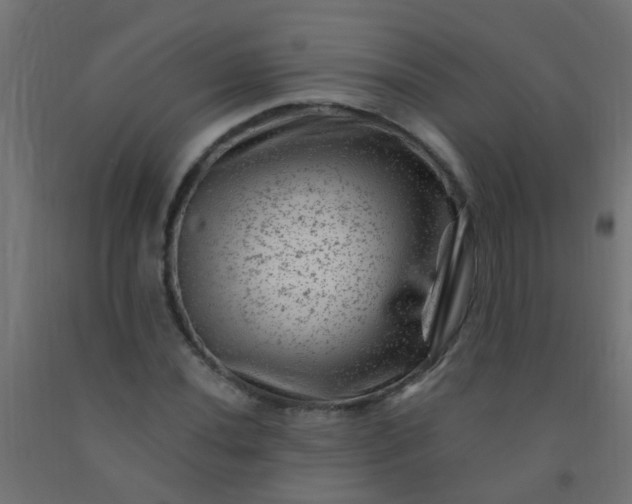 X0000092301020200709281322