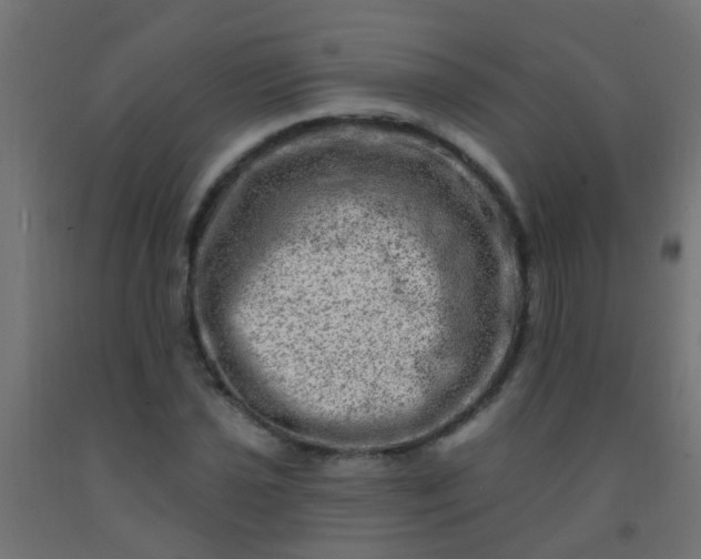 X0000092301021200709281322