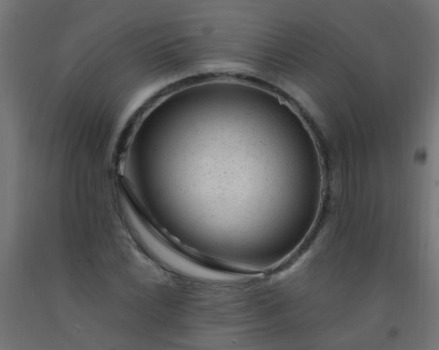 X0000092301022200709281322