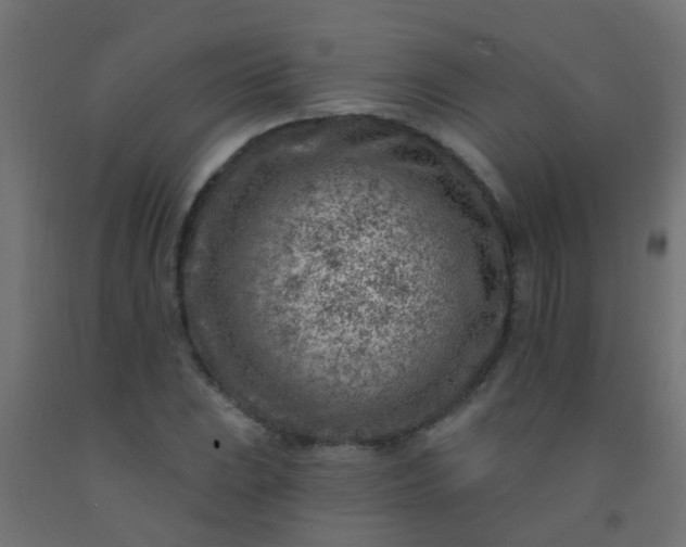 X0000092301023200709281322