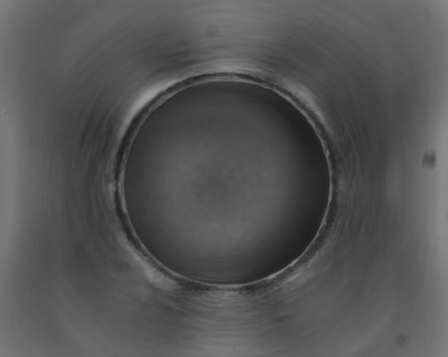 X0000092301024200709281322