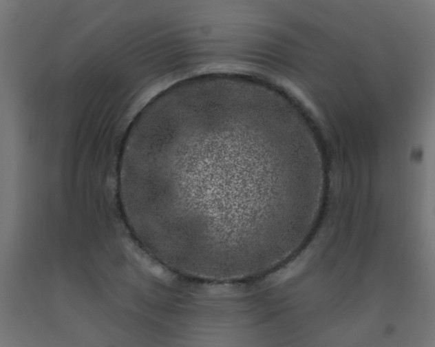 X0000092301025200709281322