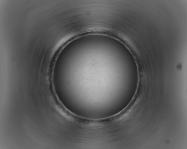 X0000092301026200709281322