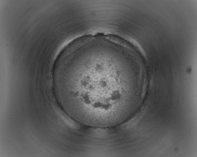 X0000092301027200709281322