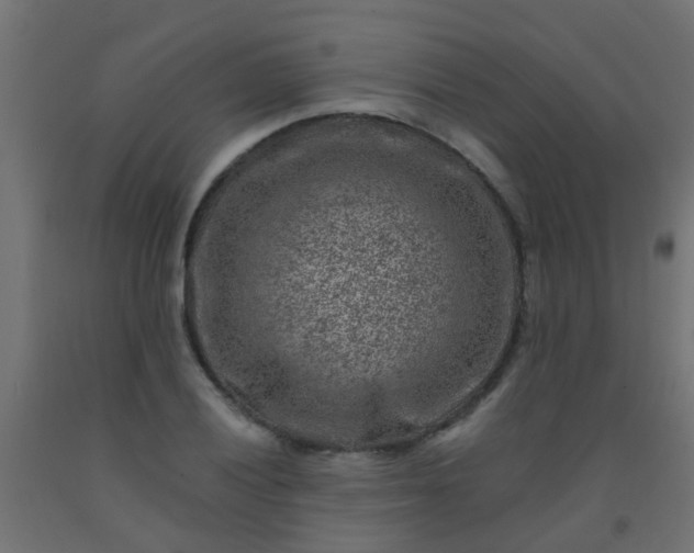 X0000092301028200709281322