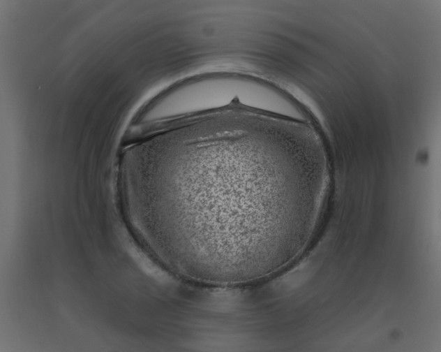 X0000092301029200709281322