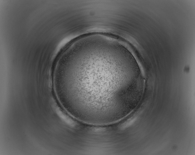 X0000092301030200709281322