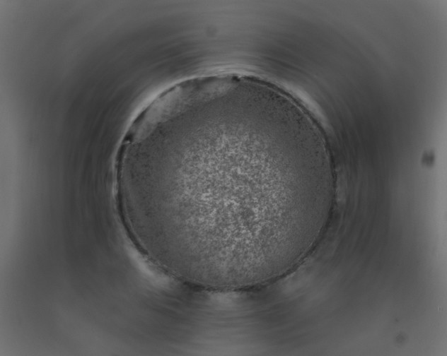 X0000092301031200709281322