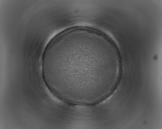 X0000092301032200709281322