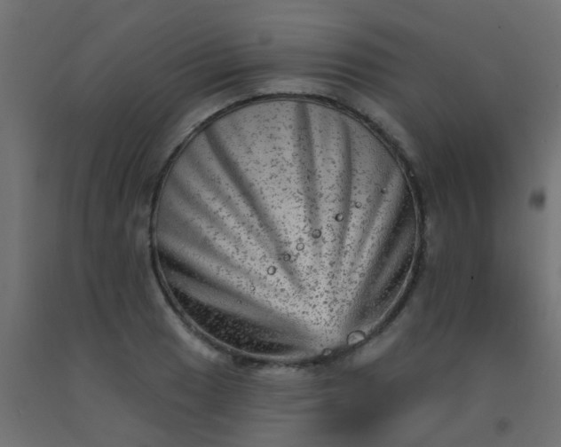 X0000092301033200709281322