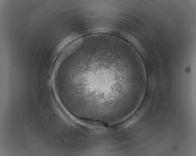 X0000092301034200709281322