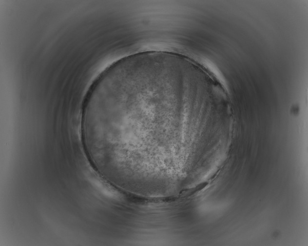 X0000092301035200709281322