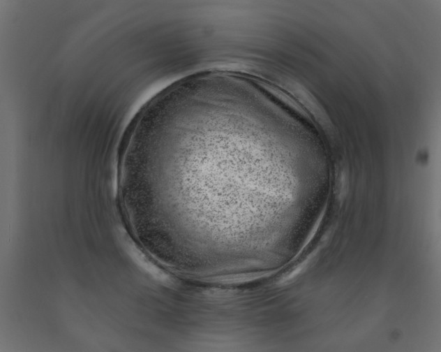 X0000092301036200709281322