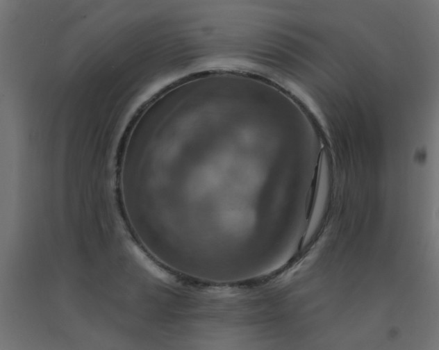 X0000092301037200709281322