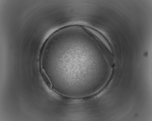 X0000092301038200709281322