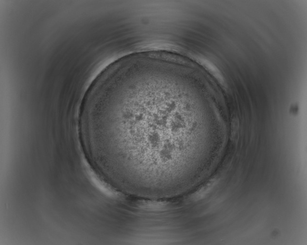 X0000092301039200709281322