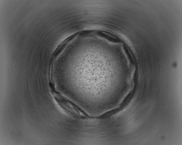 X0000092301041200709281322