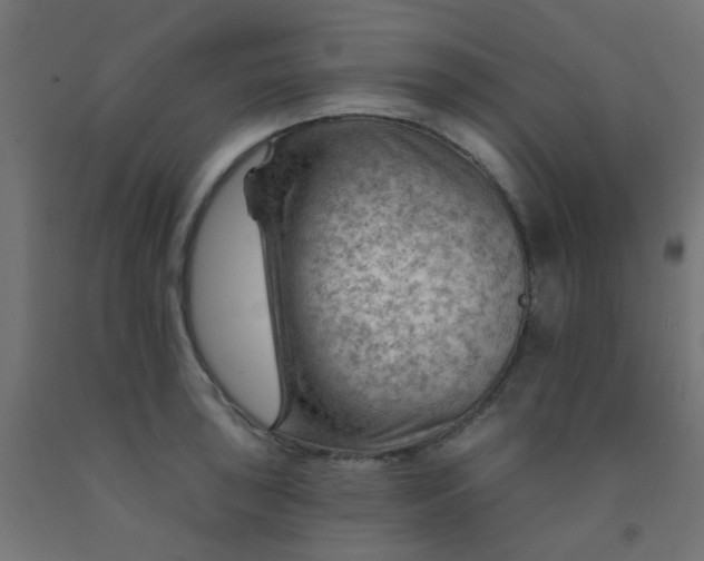 X0000092301043200709281322