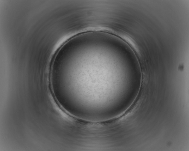 X0000092301046200709281322