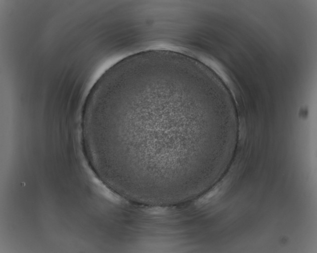 X0000092301048200709281322